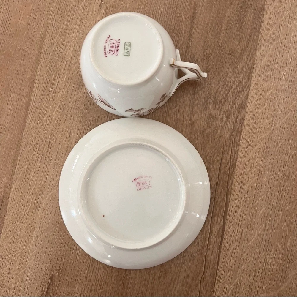 Antique T&V France Limoges Hand Painted Tea Cup & Saucer Protruded Brown Flowers